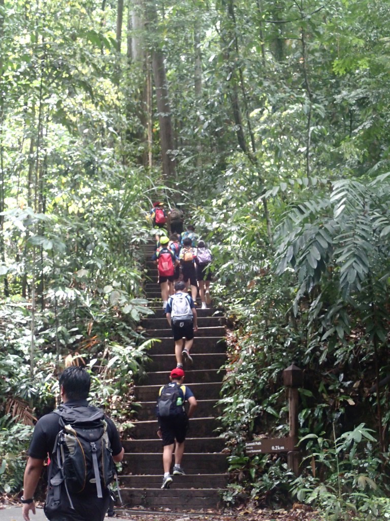 Last year's hikes. The 'shortcut' route to the summit, which is basically giant, even steps. We'll do this one a few times for kicks.