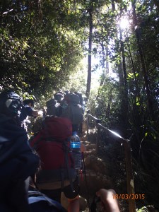 Pretty typical view of the trail - steps and stairs.