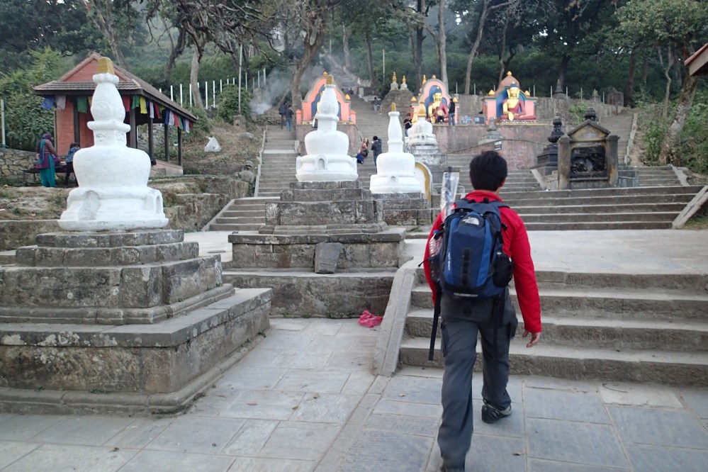 Approaching the monkey temple.